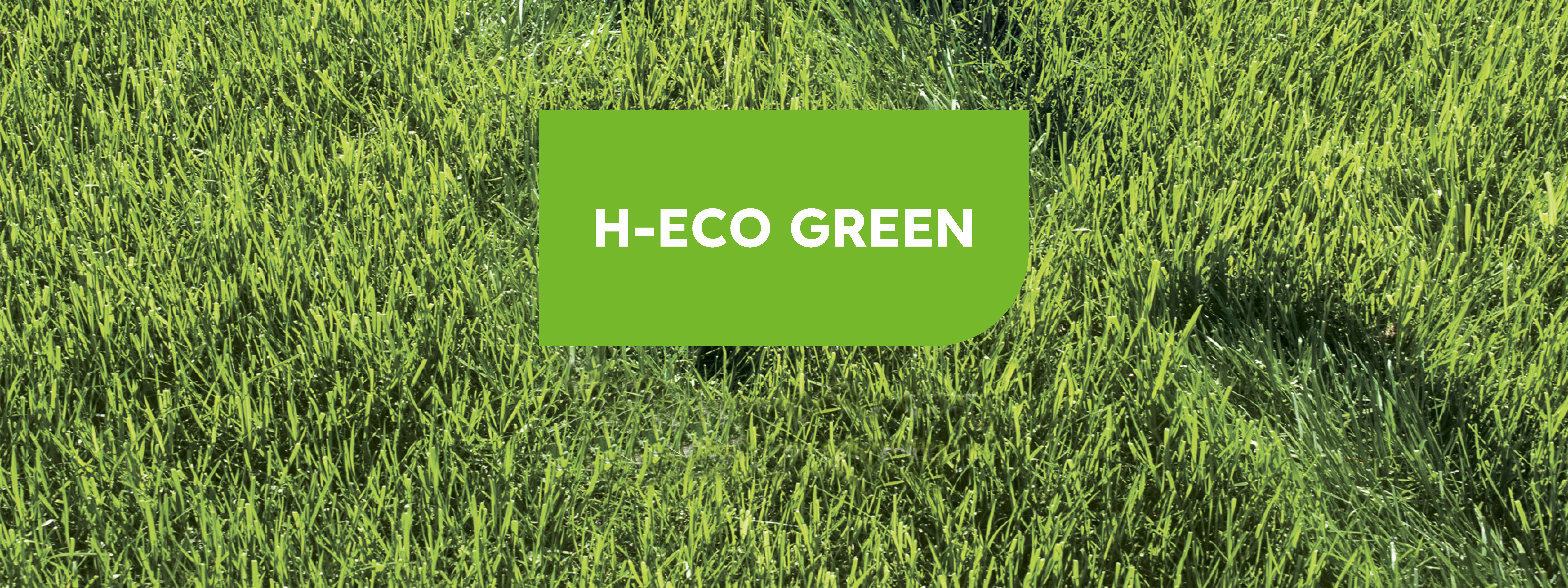 H-ECO GREEN